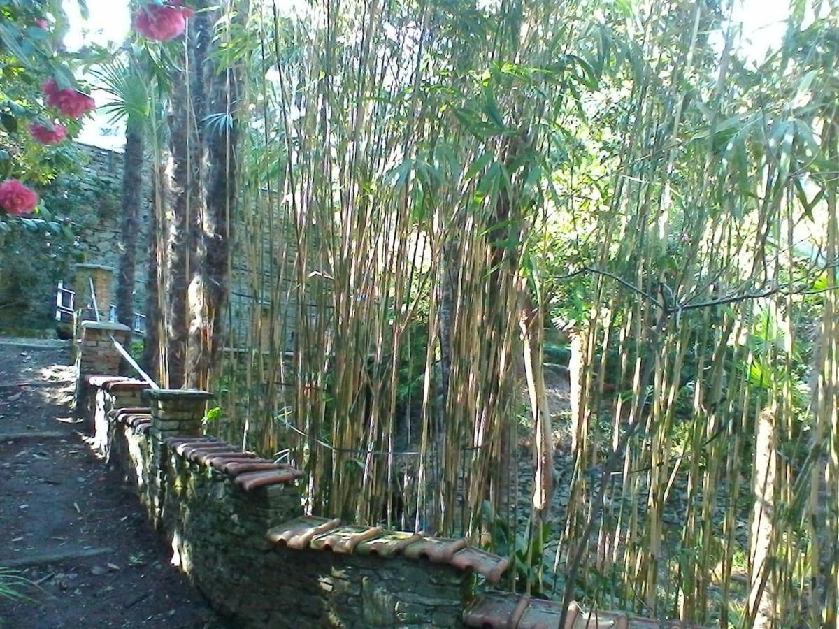 La Camelia D'Oro Appartement Oggebio Buitenkant foto