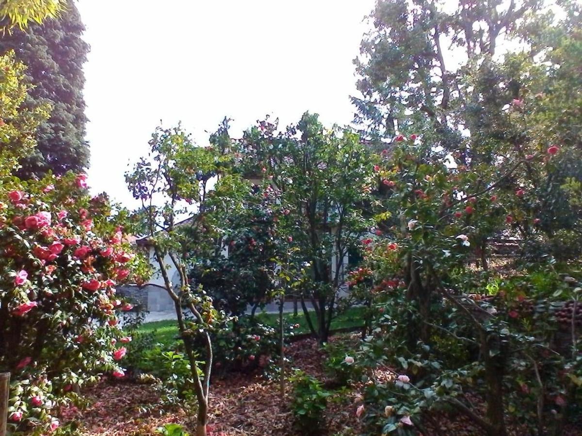La Camelia D'Oro Appartement Oggebio Buitenkant foto