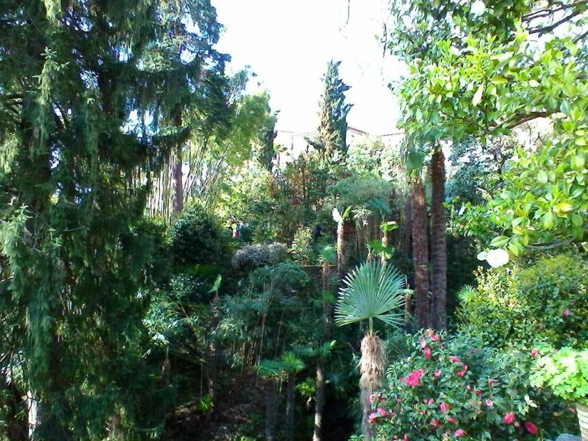 La Camelia D'Oro Appartement Oggebio Buitenkant foto