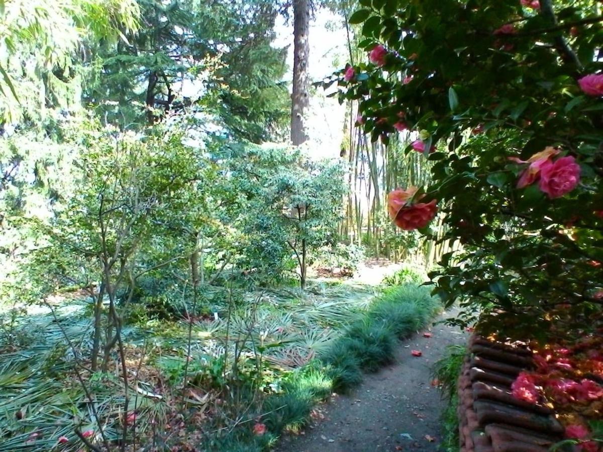 La Camelia D'Oro Appartement Oggebio Buitenkant foto