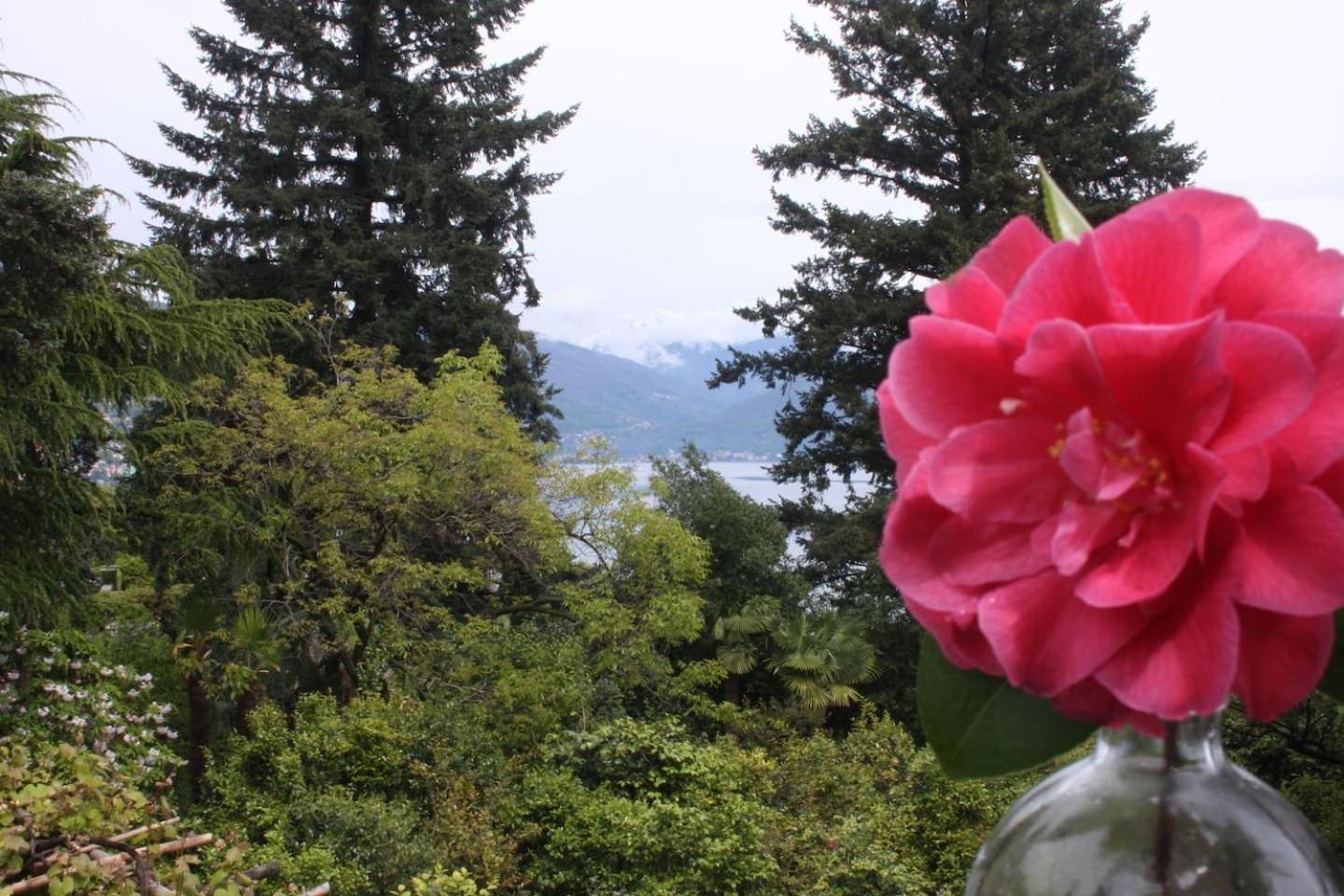 La Camelia D'Oro Appartement Oggebio Buitenkant foto